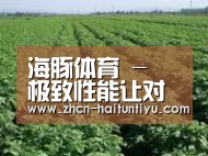 种植基地五
