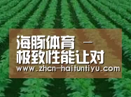 种植基地六