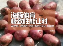 产品展示标题5