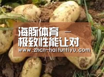 产品展示标题2