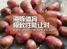 产品展示标题5(图1)