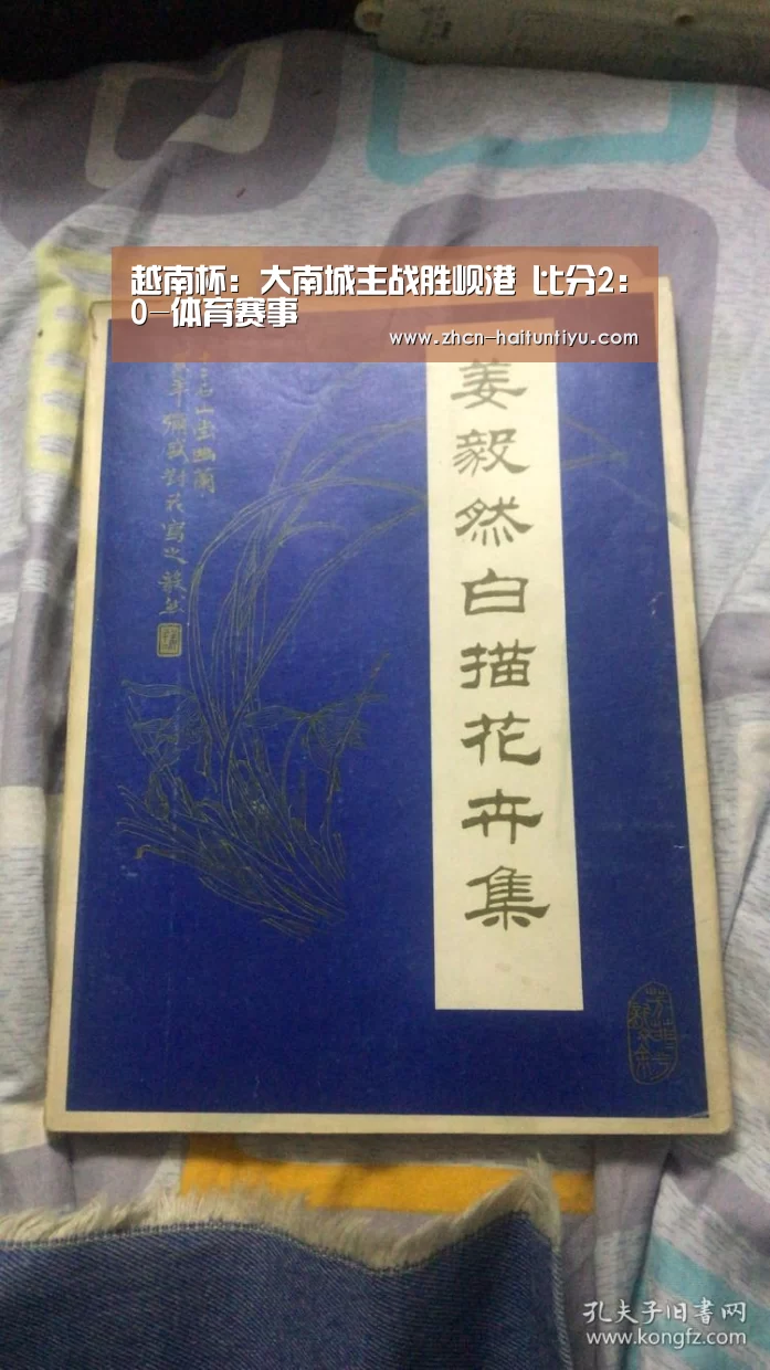 越南杯: 大南城主战胜岘港 比分2:0-体育赛事(图2) 健身互动
