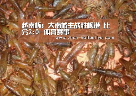 越南杯: 大南城主战胜岘港 比分2:0-体育赛事(图1) 体育赛事