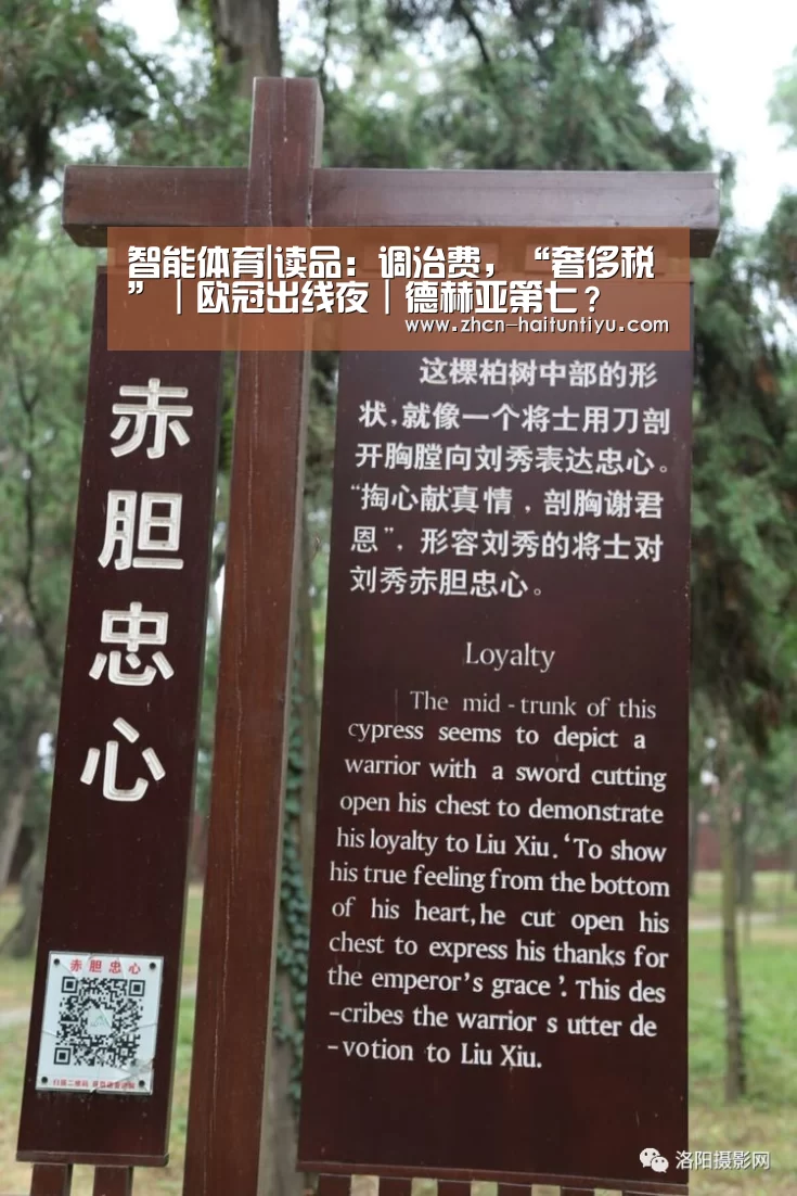 智能体育|读品:调治费,“奢侈税”|欧冠出线夜|德赫亚第七?(图2) 健身互动