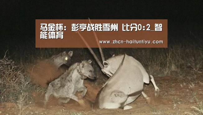马金杯: 彭亨战胜雪州 比分0:2_智能体育(图2) 运动平台