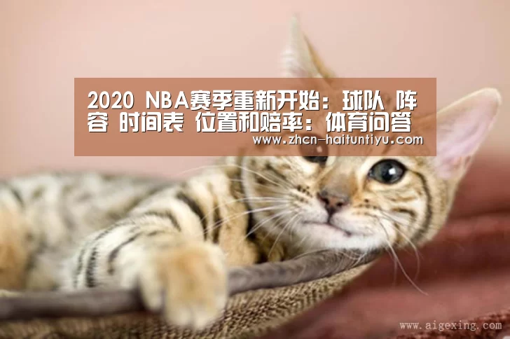 2020 NBA赛季重新开始:球队 阵容 时间表 位置和赔率:体育问答(图1) 海豚体育