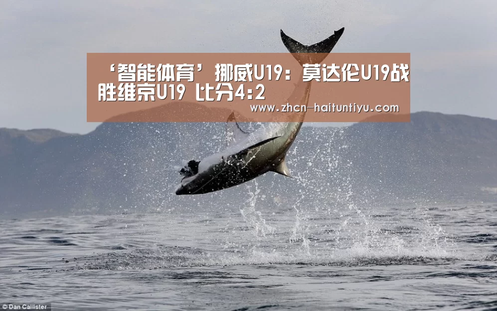 ‘智能体育’挪威U19: 莫达伦U19战胜维京U19 比分4:2(图3) 健身互动